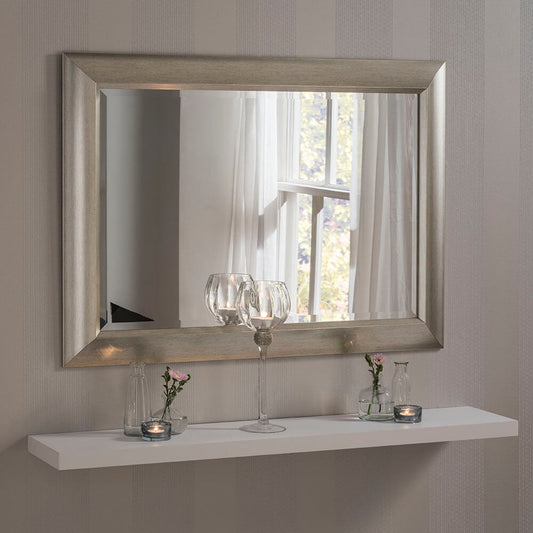 YG 741 silver MirrorZone