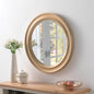 Denver Mirror