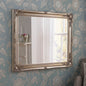 YG 619 silver MirrorZone
